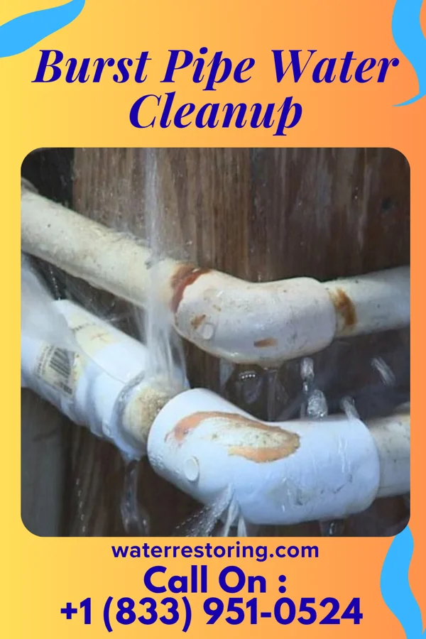 Burst Pipe Water Cleanup in Cloverdale, MS
